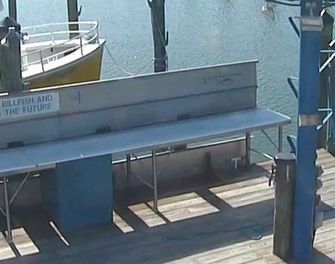 OC Fishing Center OC Fishing Center