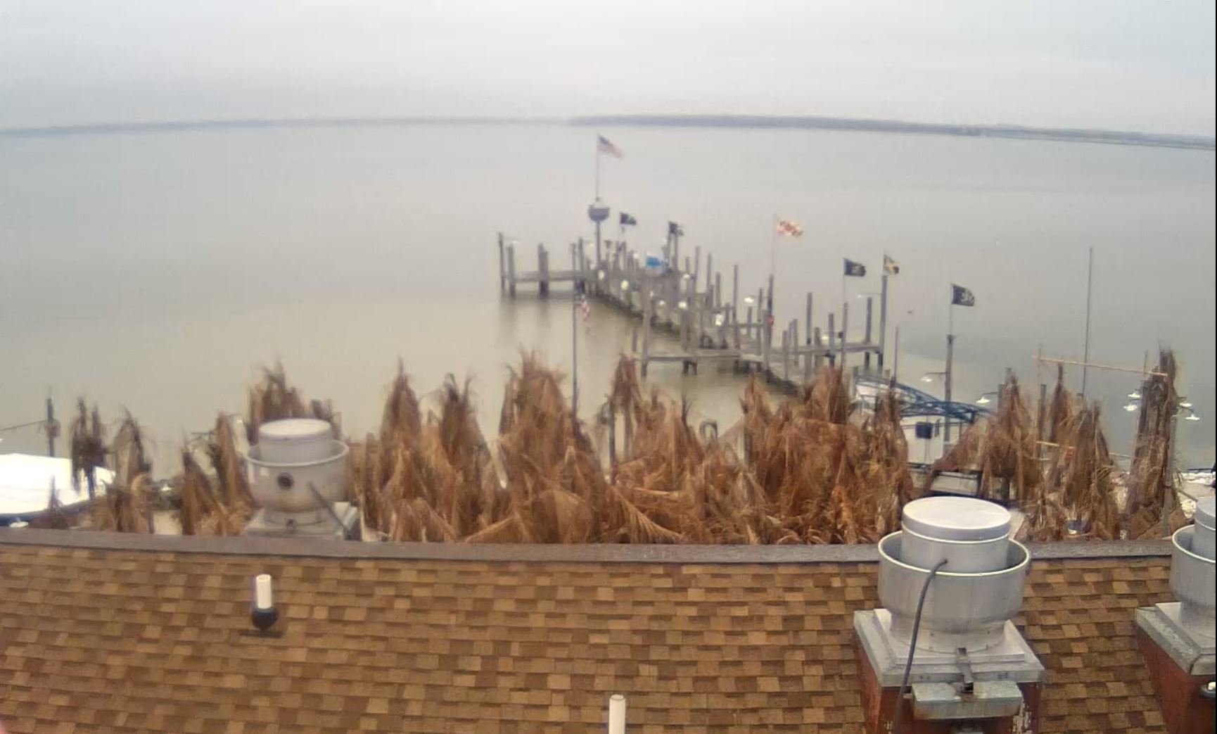 Seacrets Bay | Live Webcams Ocean City MD